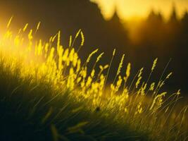 AI generated Abstract soft focus sunset field landscape of yellow flowers and grass meadow warm golden hour sunset sunrise time. Tranquil spring summer nature closeup and blurred forest background. photo