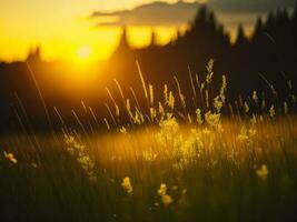 ai generado resumen suave atención puesta de sol campo paisaje de amarillo flores y césped prado calentar dorado hora puesta de sol amanecer tiempo. tranquilo primavera verano naturaleza de cerca y borroso bosque antecedentes. foto