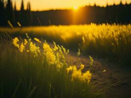 ai generado resumen suave atención puesta de sol campo paisaje de amarillo flores y césped prado calentar dorado hora puesta de sol amanecer tiempo. tranquilo primavera verano naturaleza de cerca y borroso bosque antecedentes. foto