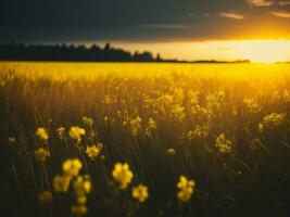 AI generated Abstract soft focus sunset field landscape of yellow flowers and grass meadow warm golden hour sunset sunrise time. Tranquil spring summer nature closeup and blurred forest background. photo