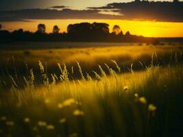 ai generado resumen suave atención puesta de sol campo paisaje de amarillo flores y césped prado calentar dorado hora puesta de sol amanecer tiempo. tranquilo primavera verano naturaleza de cerca y borroso bosque antecedentes. foto