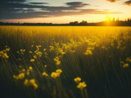 AI generated Abstract soft focus sunset field landscape of yellow flowers and grass meadow warm golden hour sunset sunrise time. Tranquil spring summer nature closeup and blurred forest background. photo