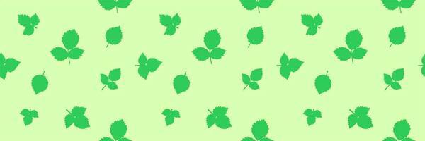 Fresh Herbal leaves background, web banner, green seamless pattern background, tag, label decor vector