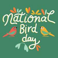 nacional pájaro día bandera. escritura letras nacional pájaro día texto cuadrado composición. mano dibujado vector Arte.