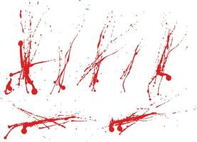 Collection of blood bloodstain splatter vector