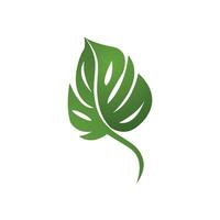 Monstera logo vector template symbol design