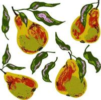 a set of pears with leaves and leaves vector