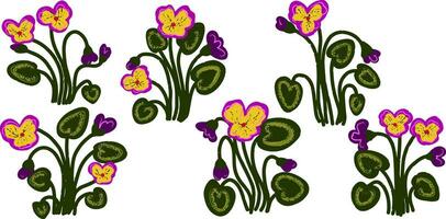 pansy clip art vector