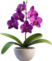 AI generated Thai Orchid Icon png