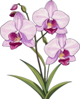 ai gerado tailandês orquídea ícone png