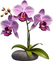 ai generado tailandés orquídea icono png