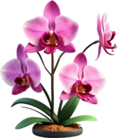 ai gerado tailandês orquídea ícone png