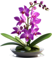 ai gerado tailandês orquídea ícone png