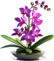 ai généré thaïlandais orchidée icône png