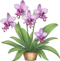 AI generated Thai Orchid Icon png