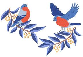 Bullfinches on branches, vector illustration, flat cartoon style, isolated on white background