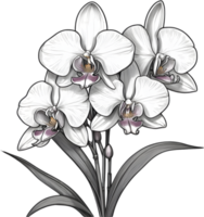 ai gerado tailandês orquídea ícone png