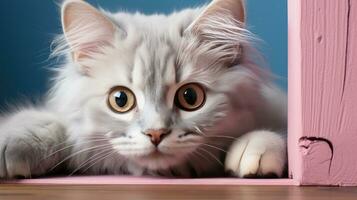 AI generated Close-up of Curious Cat Peeking with Intense Eyes photo