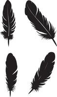 Black Feather vector silhouette illustration