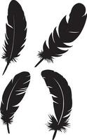 Black Feather vector silhouette illustration 4