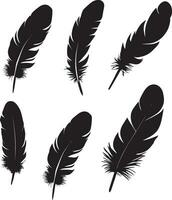 Black Feather vector silhouette illustration 5