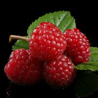 AI generated Fresh Ripe Raspberry on Black background, Juicy and tasty Fruit, Healthy Food photo