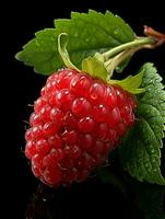 AI generated Fresh Ripe Raspberry on Black background, Juicy and tasty Fruit, Healthy Food photo