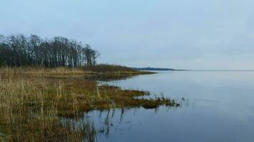 sjö Strand, vilda djur och växter, höst landskap, rena luft, lugna slät vatten, tyst tystnad video