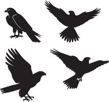 Flying bird vector silhouette 2