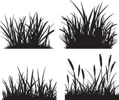 Grass vector silhouette illustration 3