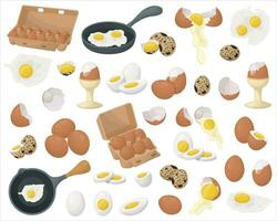 A set of chicken and quail eggs. Fried and boiled eggs, eggs in a frying pan, eggshells. Vector illustration