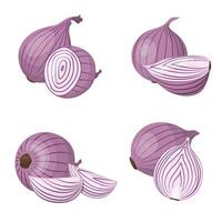 A set of red onions. The onion is cut in half and slices. Isolated vector illustration