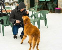 Man is playing with his yellow labrador retriever in winter landscape photo