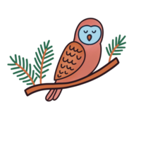 hibou oiseau dessin animé png