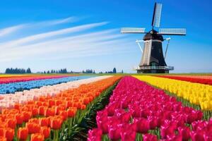 AI Generated Rural traditional windmill travel nature field mill netherlands scenic holland landmark photo