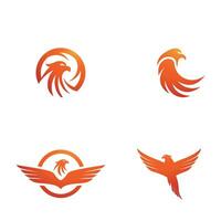 Falcon Logo Template vector