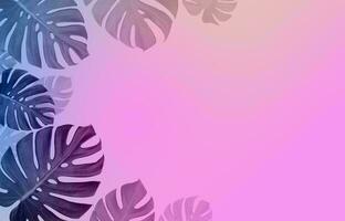 Monstera Leaf, Tropical Botanical Plant in Stylish Decorative Design Isolated on Empty Background photo