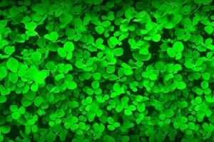 St. Patrick's Day Celebration, Festive Irish Holiday with Green Background, Concept of Shamrock Tradition in March Festival photo