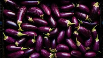 AI Generated Purple harvest garden colorful agriculture market aubergine eggplant raw green group photo