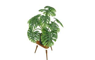 monstera hoja, tropical botánico planta en elegante decorativo diseño aislado en vacío antecedentes foto