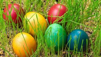 Colourful Easter Eggs. Vibrant, Festive Holiday Decorations Symbolizing Spring Celebration and Traditional Ornate Designs photo