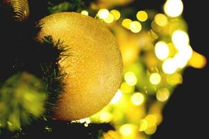 Closeup golden Christmas Balls Decorated on Pine Tree on Christmas night on black background. photo