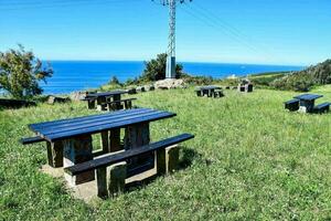 picnic tables on the grass near the ocean photo