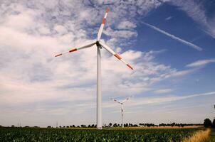 wind turbines in a field photo