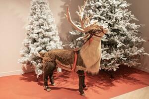 christmas decoration reindeer on the background of winter christmas trees photo