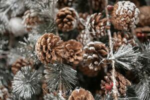 beautiful christmas decorations brown  pine cones photo