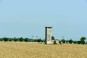 a tower in a field of wheat photo