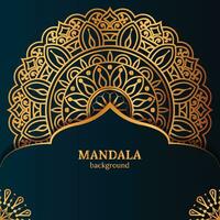 Luxury ornamental mandala design background template vector
