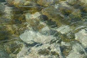 el agua es claro y el rocas son cubierto en algas foto