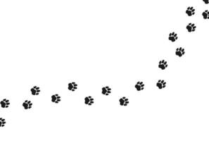 Footprints for pets, dog or cat. Isolated illustration on a white background. Vector illustration